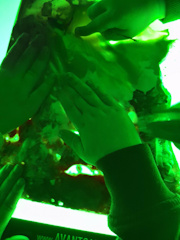 Forschen am Lichtpad tn