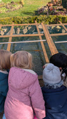 Fruhlingsspaziergang   tn